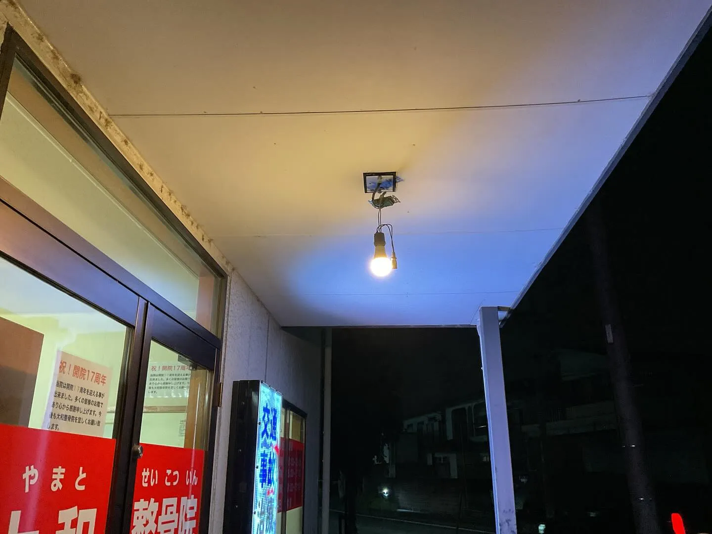 残暑なんてカワイイものじゃない位に朝から暑いですね🫠